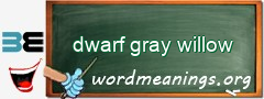 WordMeaning blackboard for dwarf gray willow